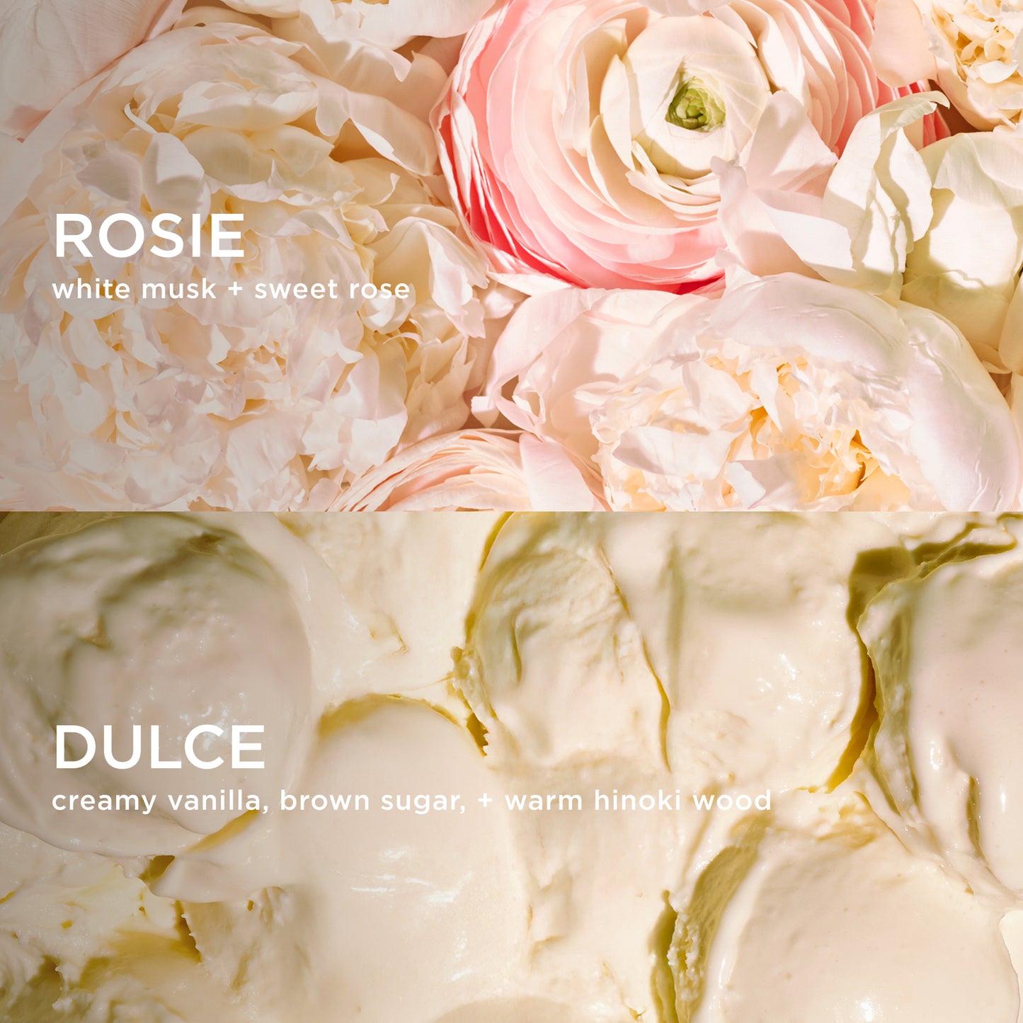 Rosie notes of white musk and sweet rosie with Dulce notes of creamy vanilla, brown sugar and warm hinoki wood