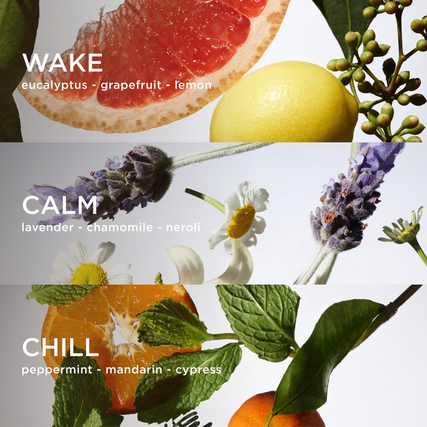wake, calm and chill essential scents