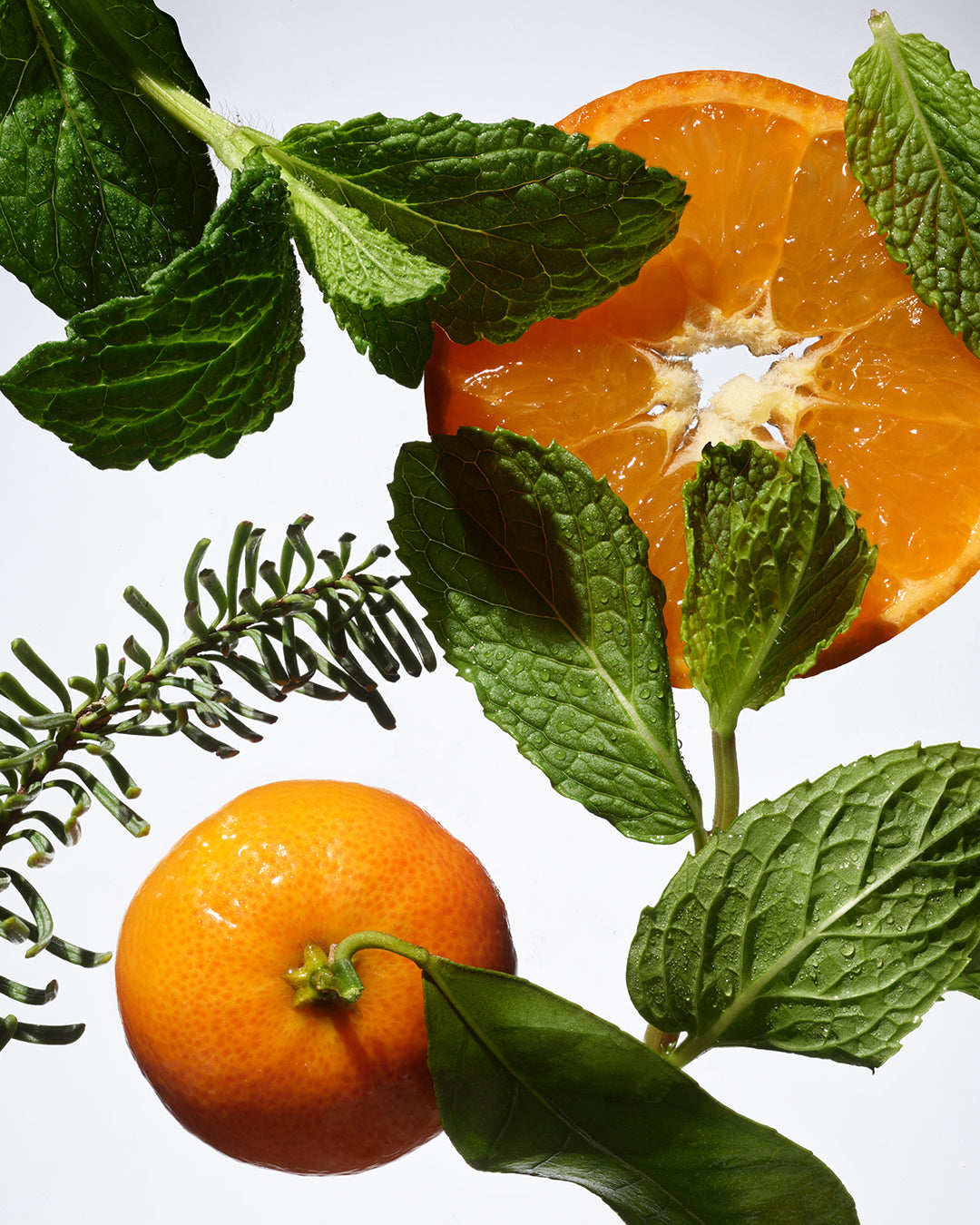 A whole tangerine, a tangerine slice, sprigs of mint, rosemary, and basil leaves are arranged on a white background. The leaves and fruit appear fresh and vibrant.