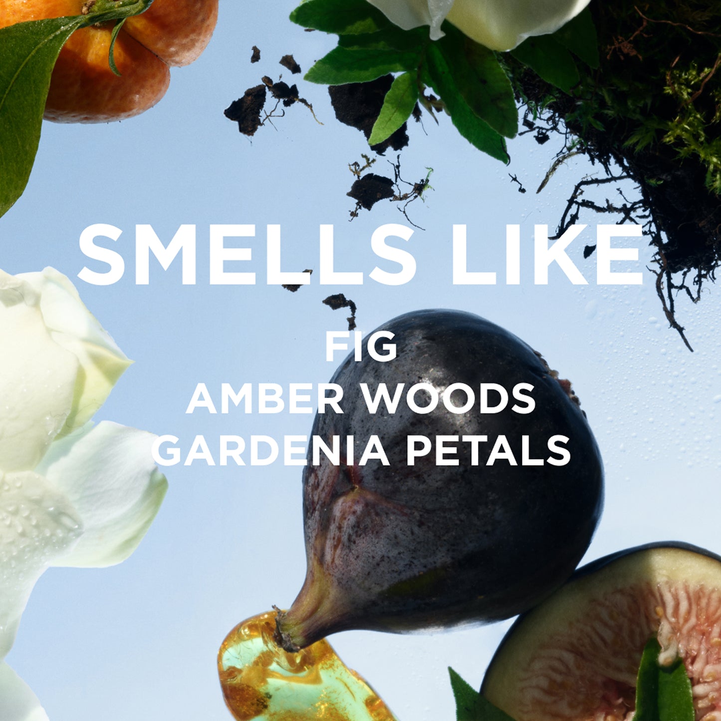 A fig, sliced fruit, gardenia petals, leaves, and soil surround the phrase JAMES HOME + AWAY SET byrosiejane on a light blue background—perfect inspiration for a Mothers Day perfume set or eau de parfum.