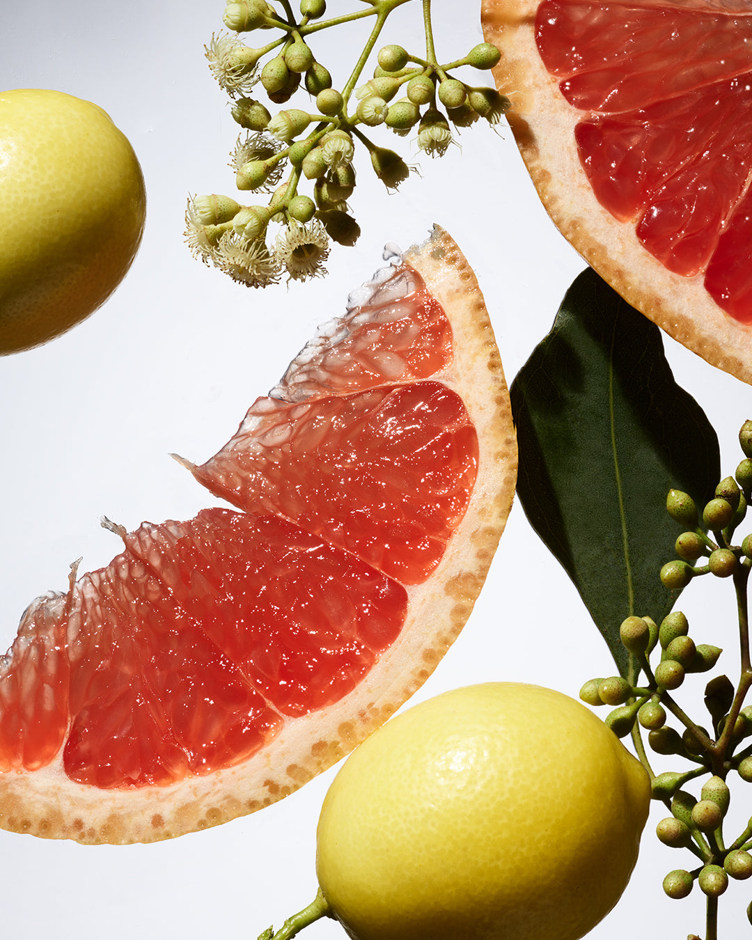 A close-up of two grapefruit slices, two yellow lemons, green leaves, and small white flowers arranged artistically on a white background. The lighting highlights the textures and vibrant colors of the fruit.