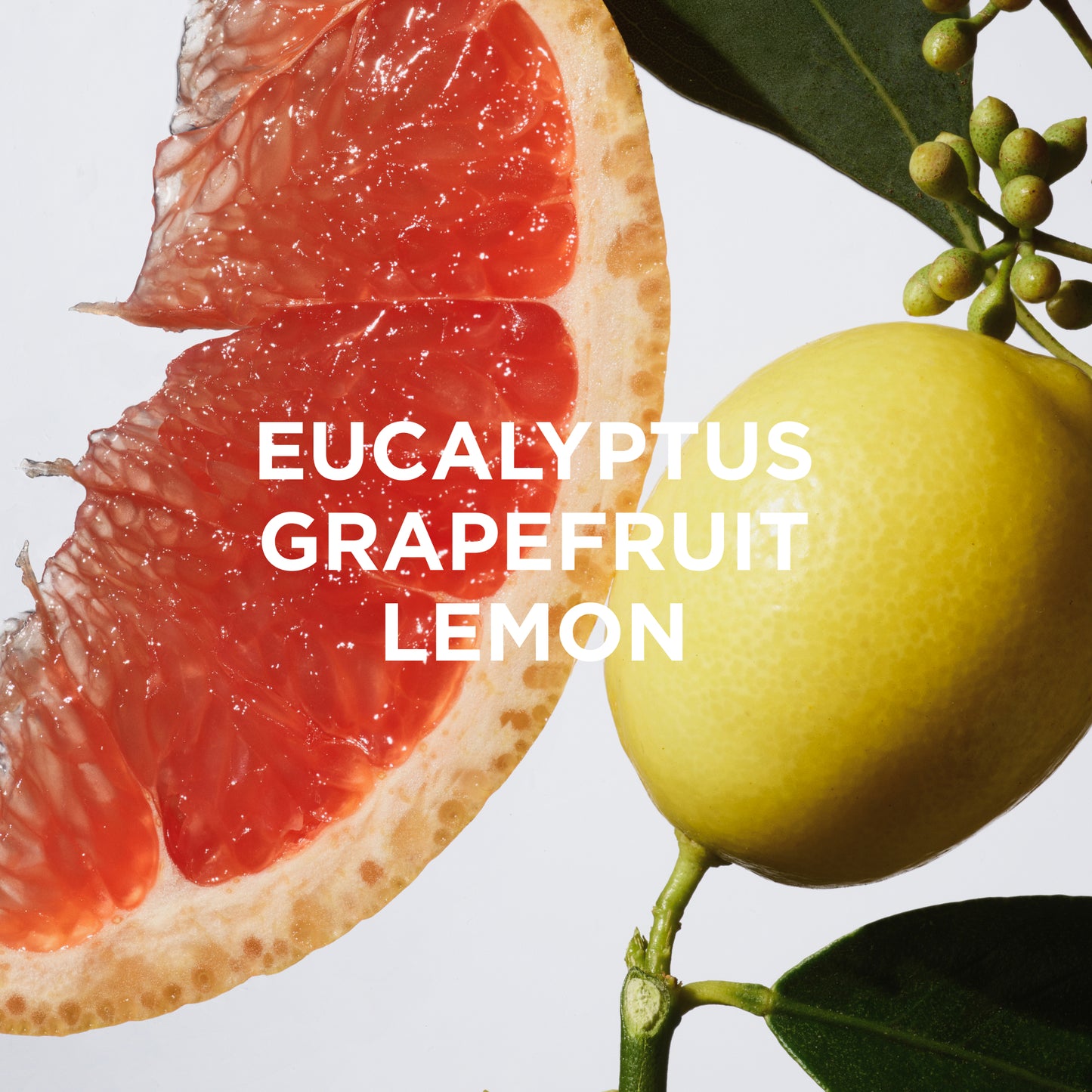 A close-up of a grapefruit slice, whole lemon with leaves, and green buds on white. Bold white text reads: WAKE FULL BODY DEODORANT byrosiejane—refreshing grapefruit, eucalyptus, and lemon for sensitive skin.