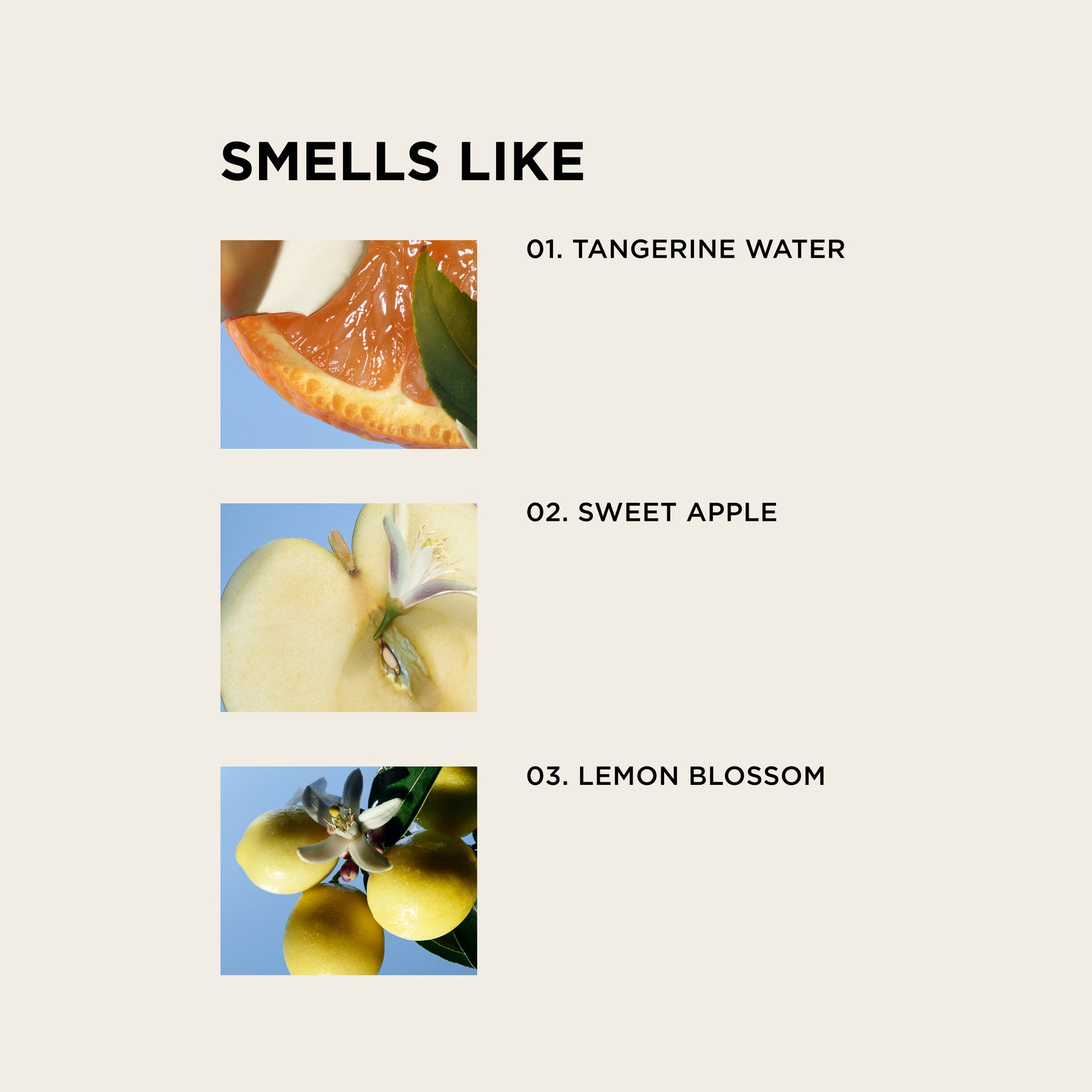 A graphic with the heading Smells Like and three labeled images: a sliced tangerine for Tangerine Water, a sliced apple for Sweet Apple, and small lemons on a branch for Lemon Blossom.