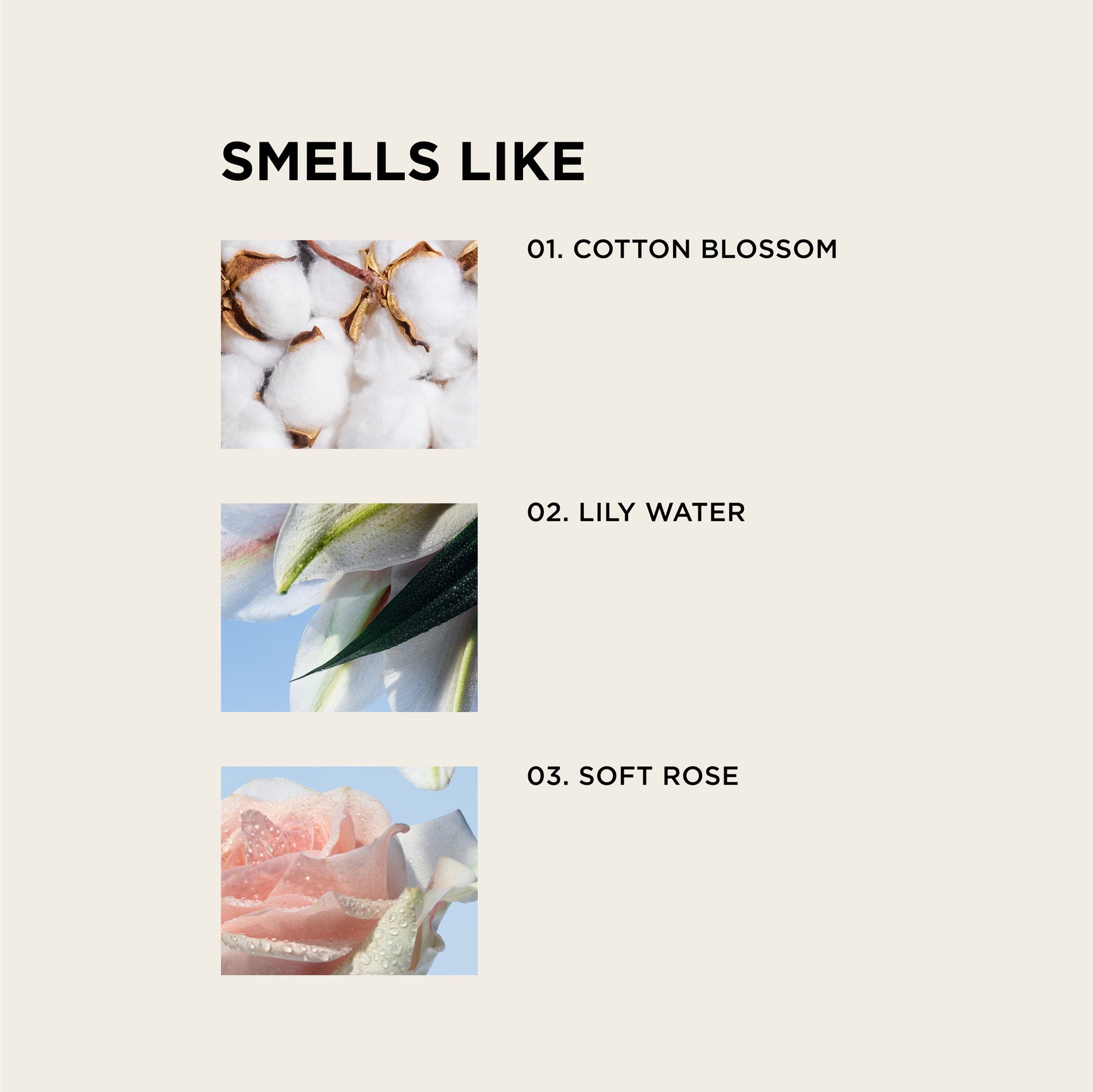 Three labeled images in a row: cotton blossoms labeled 01. Cotton Blossom, a white lily labeled 02. Lily Water, and a pale pink rose labeled 03. Soft Rose, under the heading Smells Like.