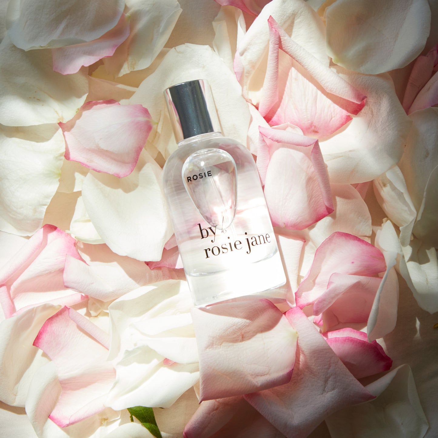 Rosie eau de parfum on rose petals