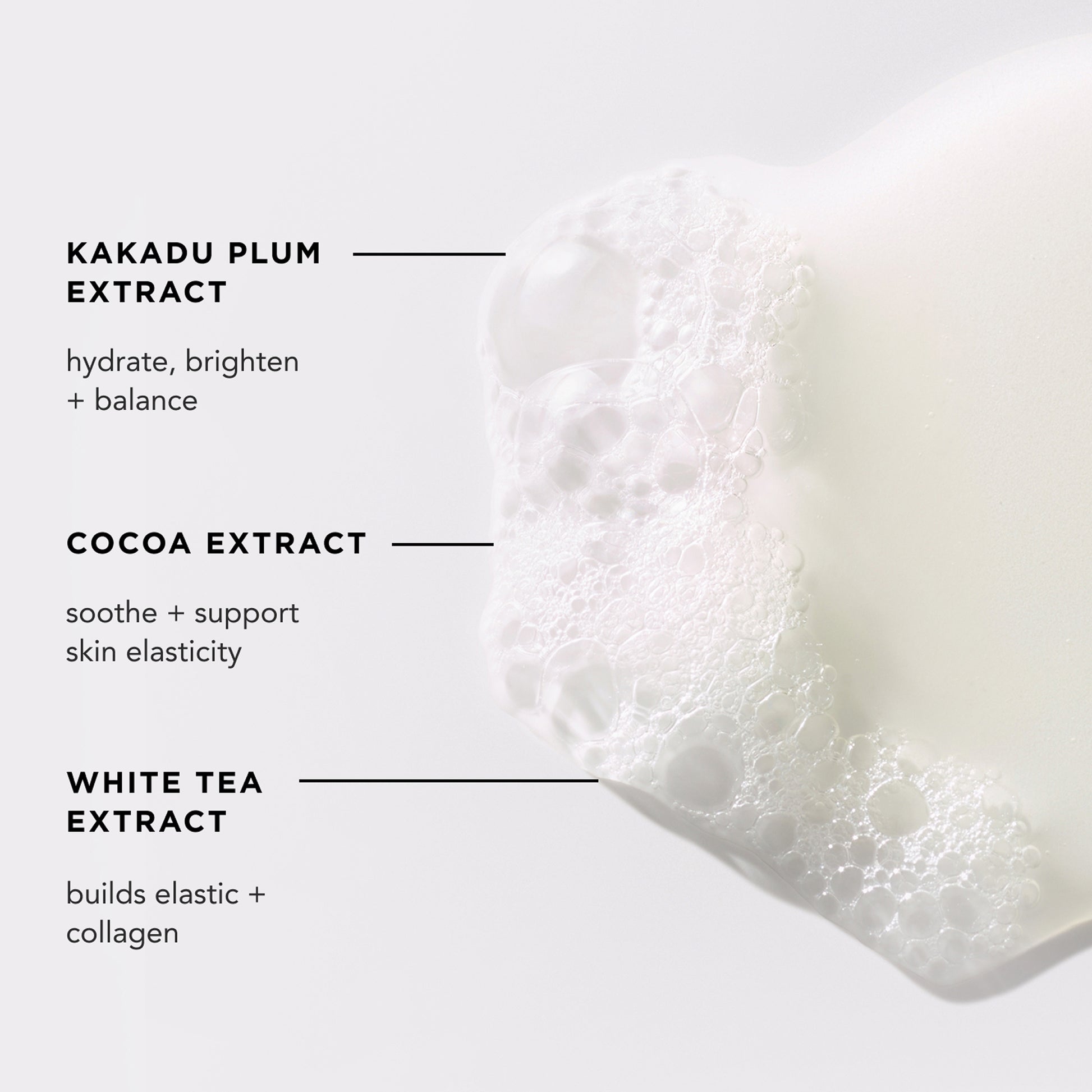 calm body wash has kakadu plum extract, cocoa extract, white tea extract