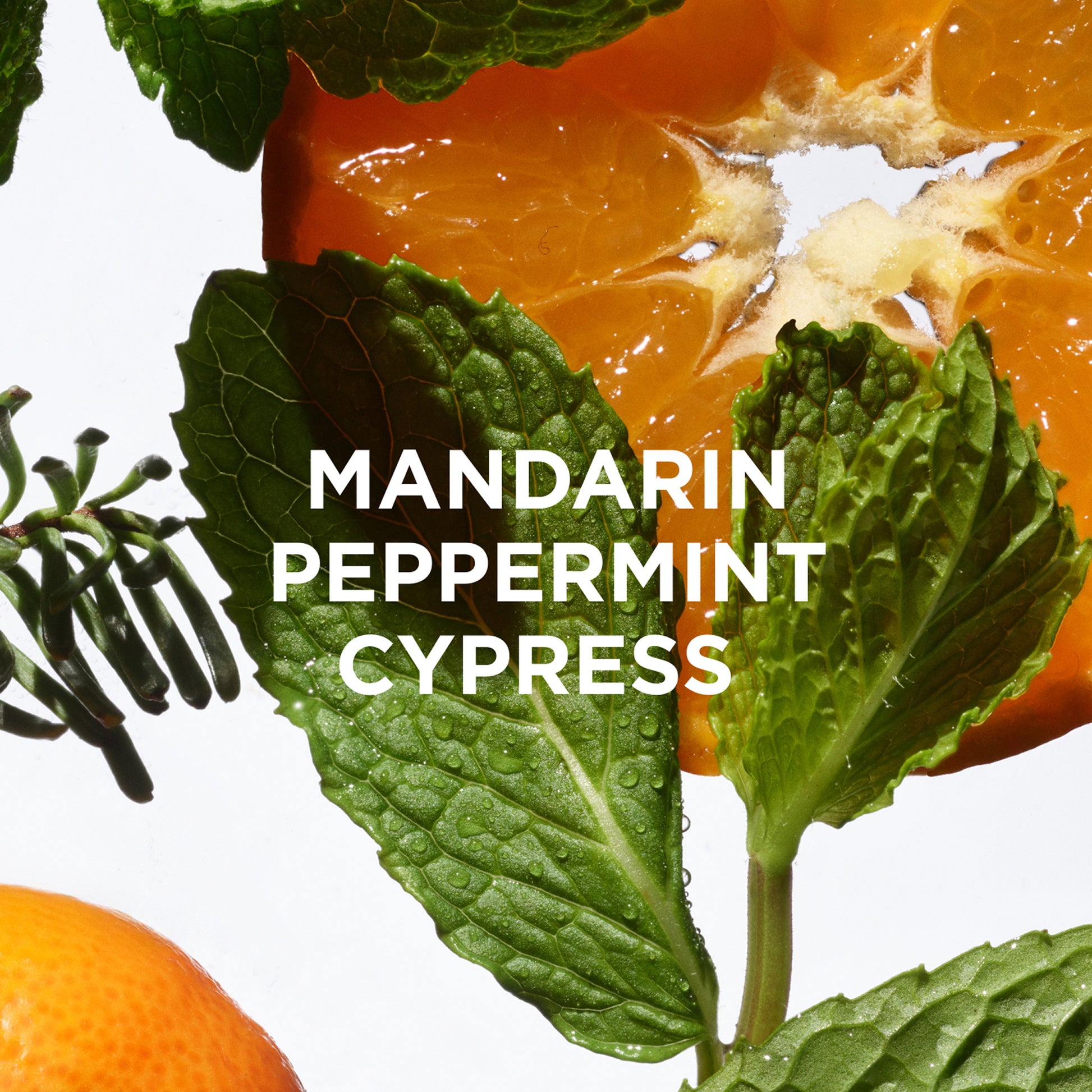 chill body milk smells like mandarin, peppermint, cypress