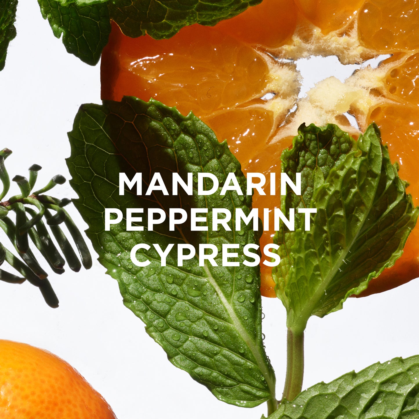 chill smells like mandarin, peppermint, cypress