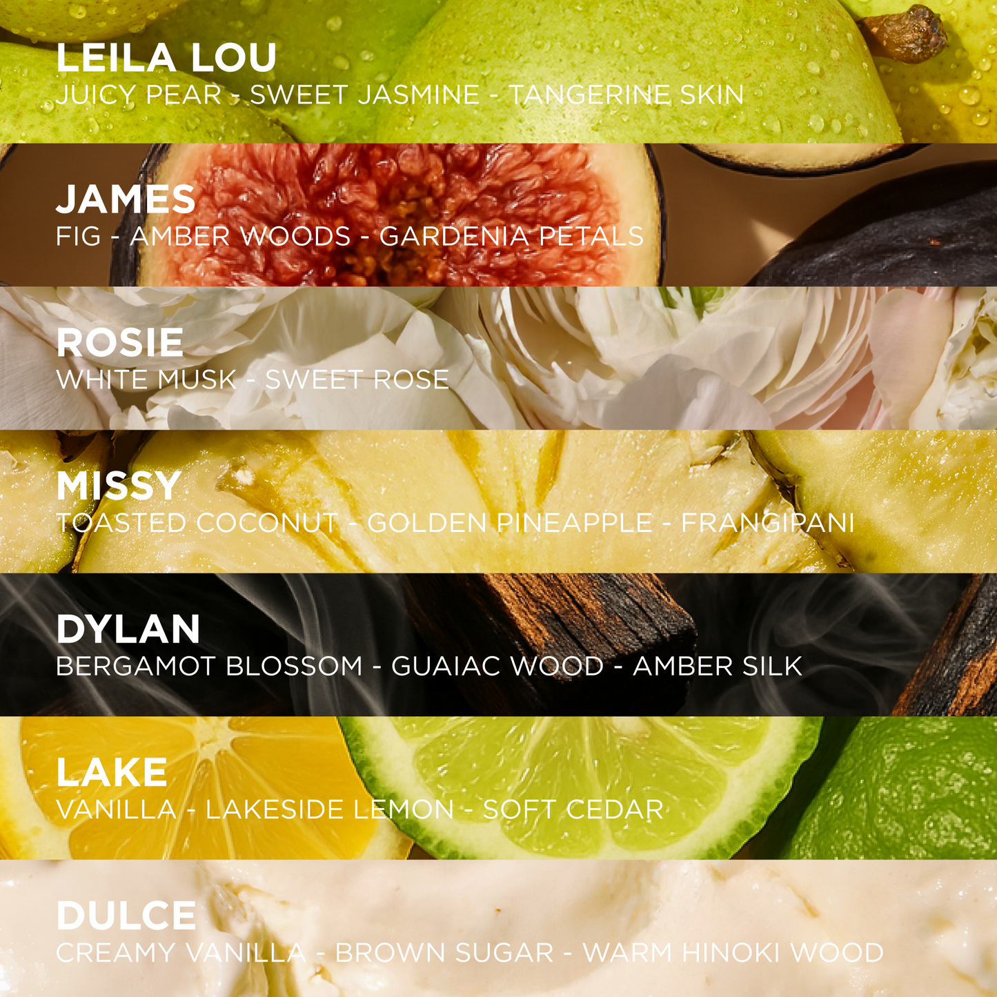 FRAGRANCE DISCOVERY SET