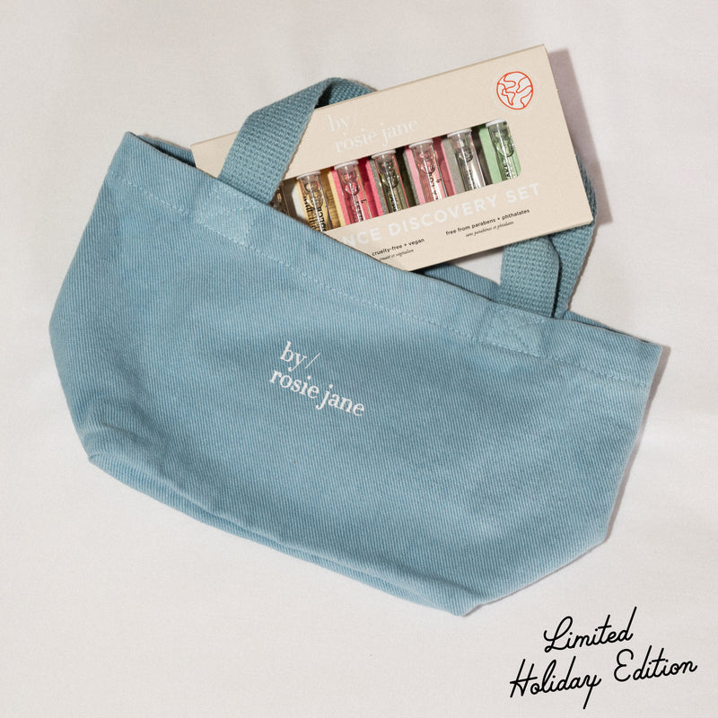 discovery set included with a by rosie jane mini tote