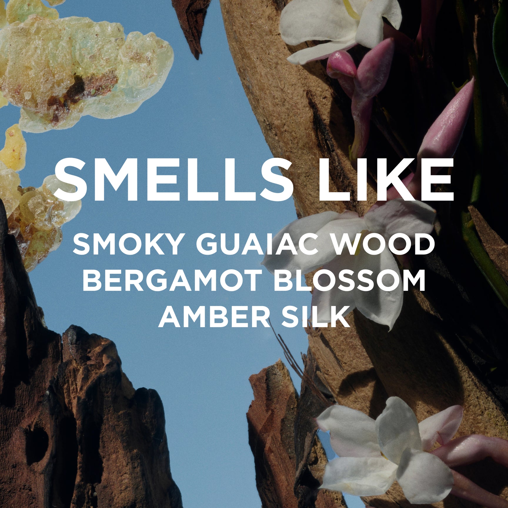 A photo with white text that reads: DYLAN PERFUME OIL by byrosiejane smells like smoky guaiac wood, bergamot blossom, cedar, and amber silk over a background of smoky wood, white flowers, and a blue sky.