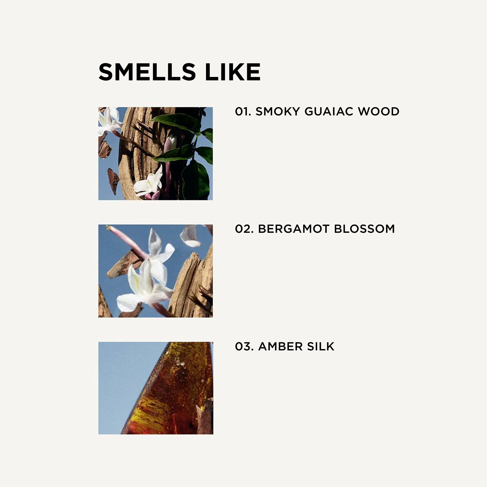 DYLAN PERFUME – By Rosie Jane