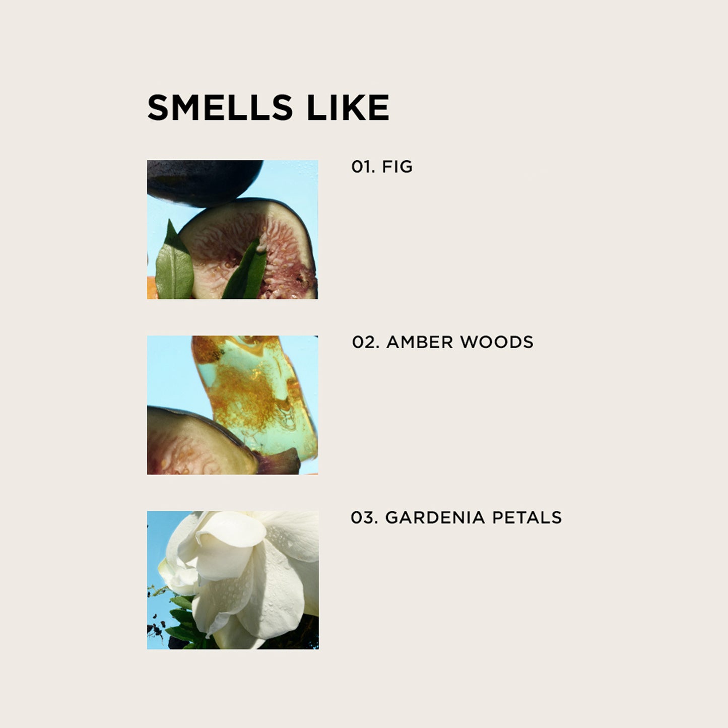 JAMES PERFUME