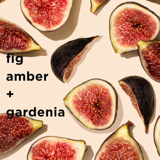 describing the notes: fig, amber + gardenia