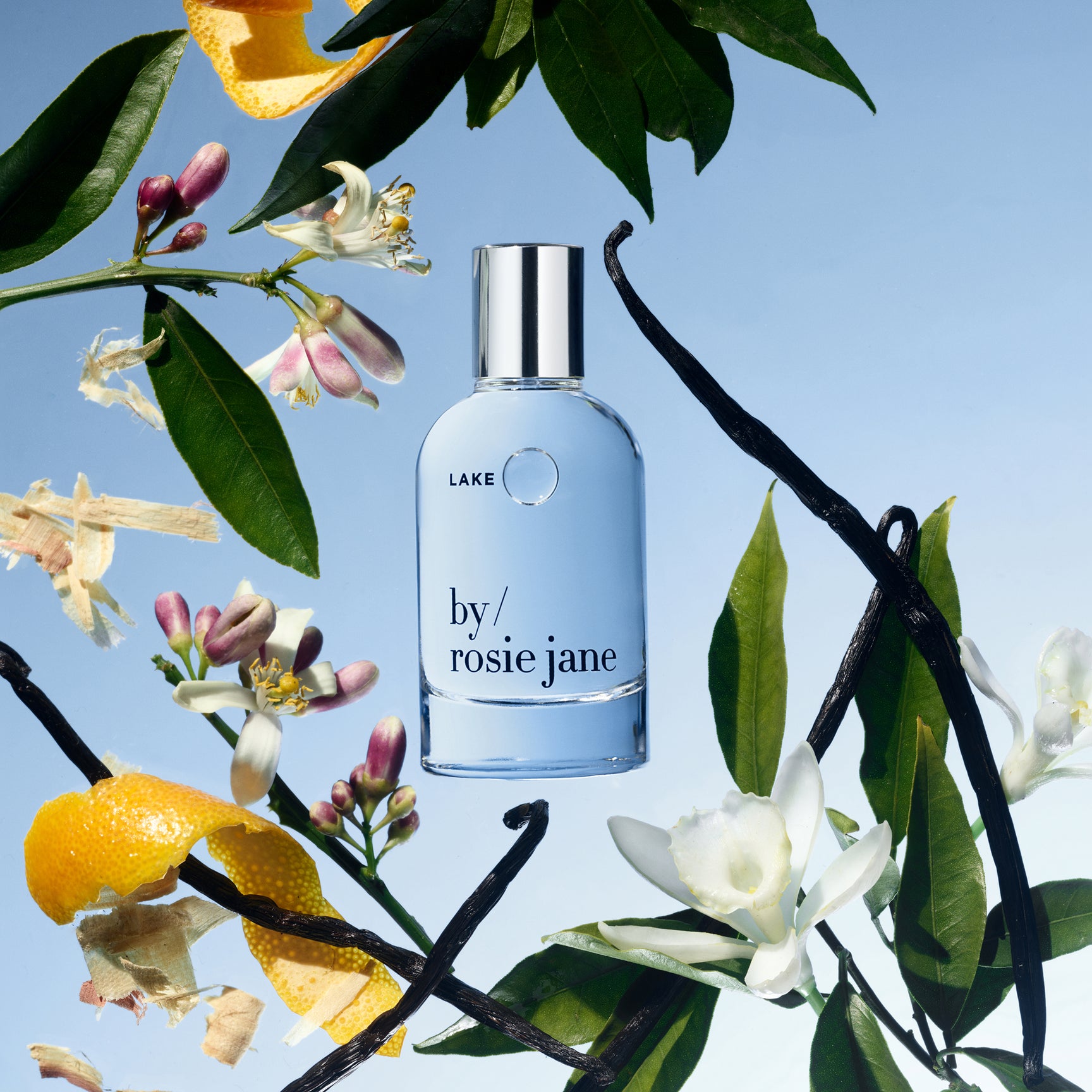 LAKE PERFUME