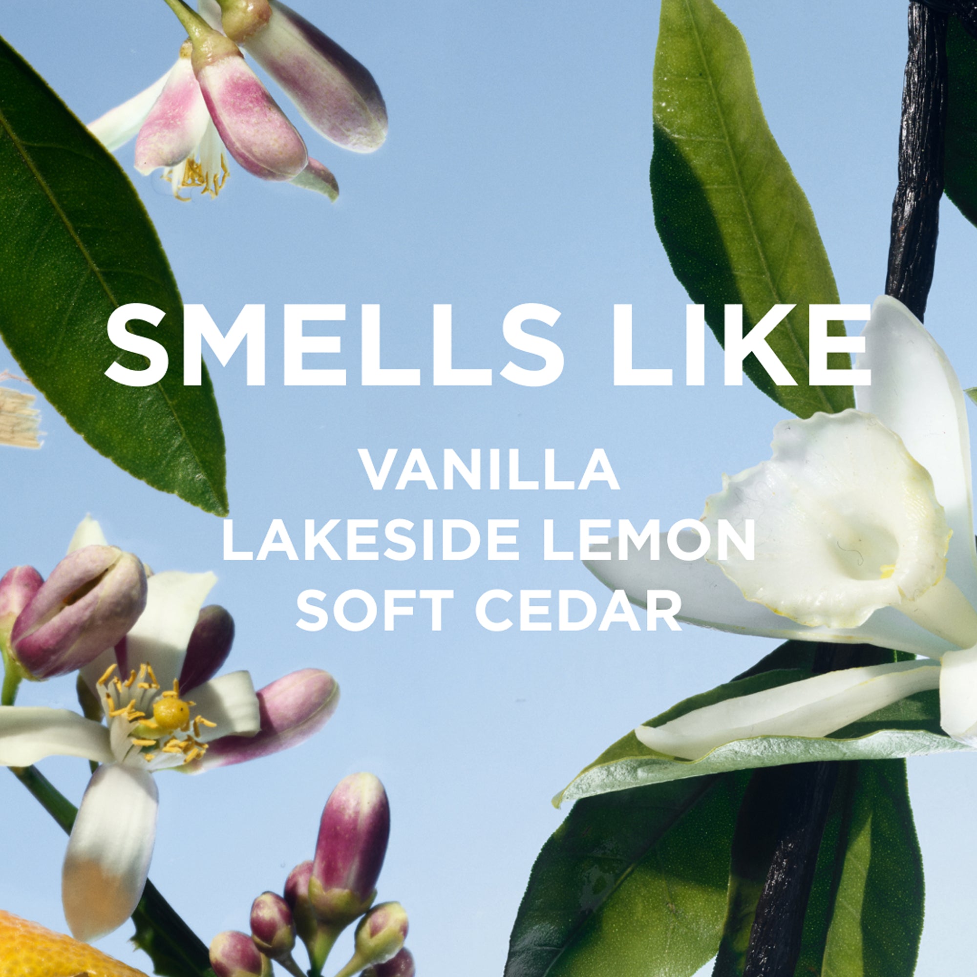 LAKE LAST ALL DAY SET – byrosiejane