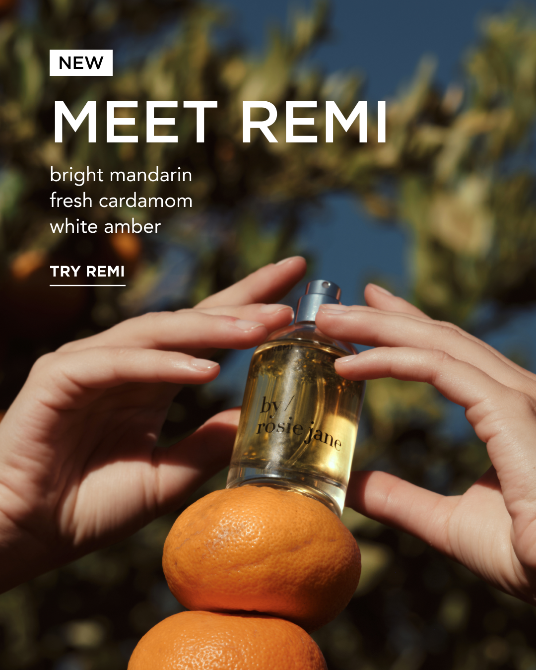 Perfume bottle labeled 'REMI' held by hands with oranges in the background
