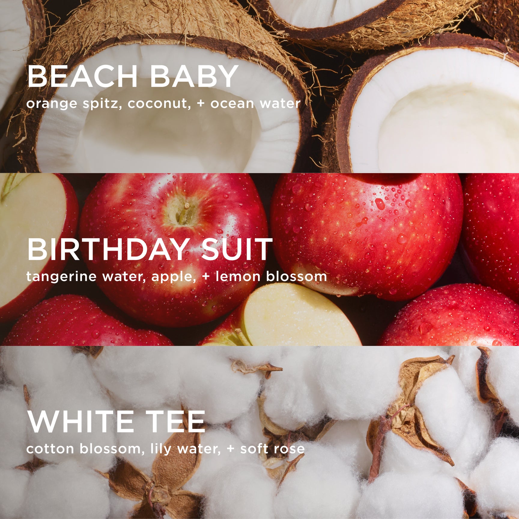 beach baby on coconut background, birthday suit on apples background, and white tee on white cotton background. 