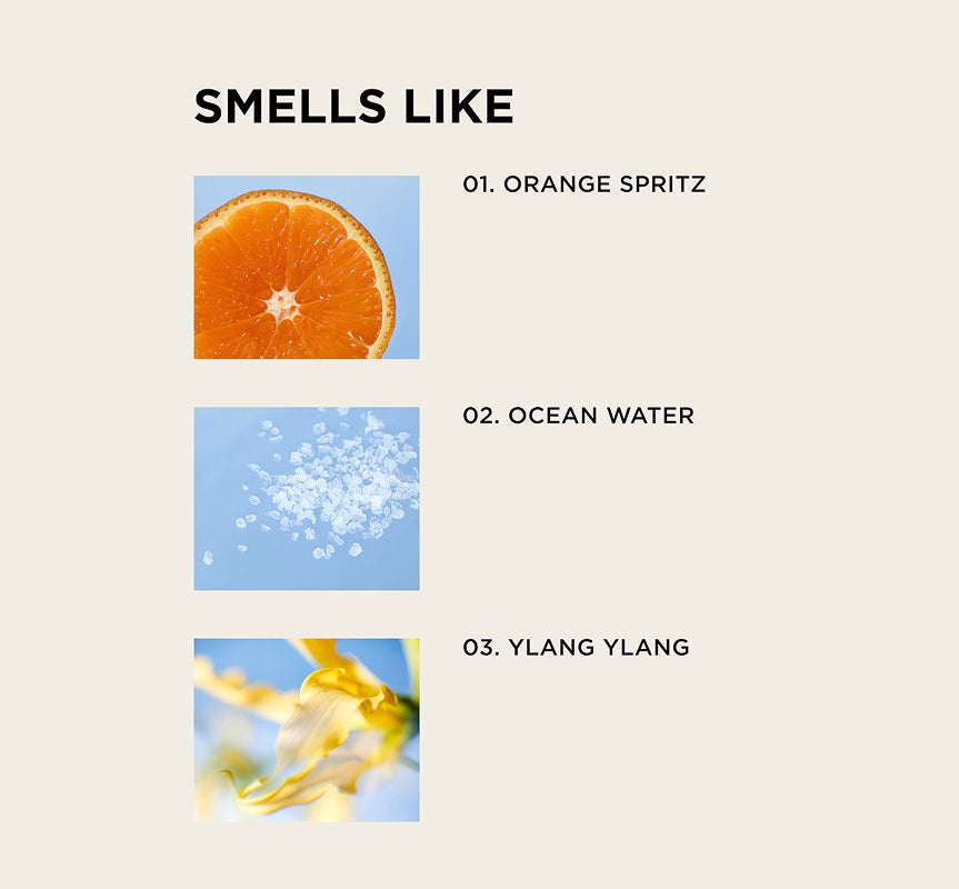 Graphic with the heading SMELLS LIKE and three labeled images: a sliced orange (Orange Spritz), sea salt crystals (Ocean Water), and a yellow ylang ylang flower (Ylang Ylang).