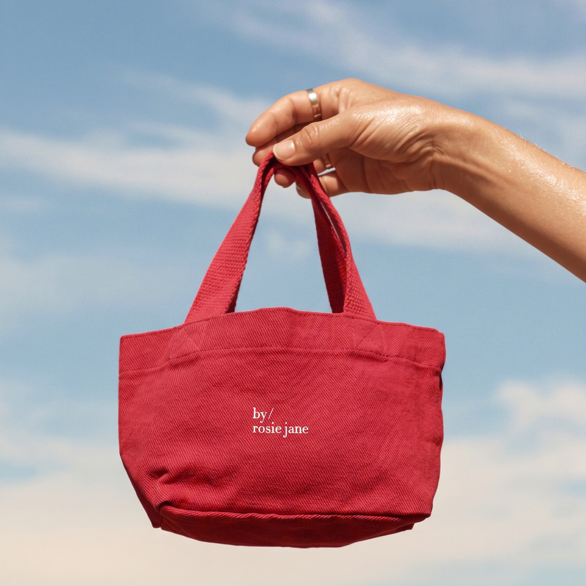 LIMITED HOLIDAY EDITION MINI TOTE