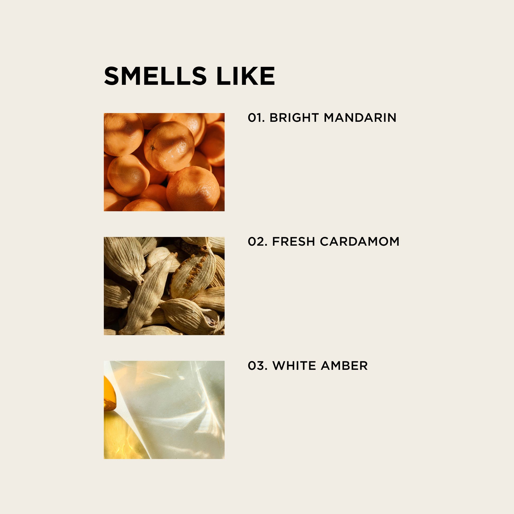 REMI smells like bright mandarin, fresh cardamom, white amber