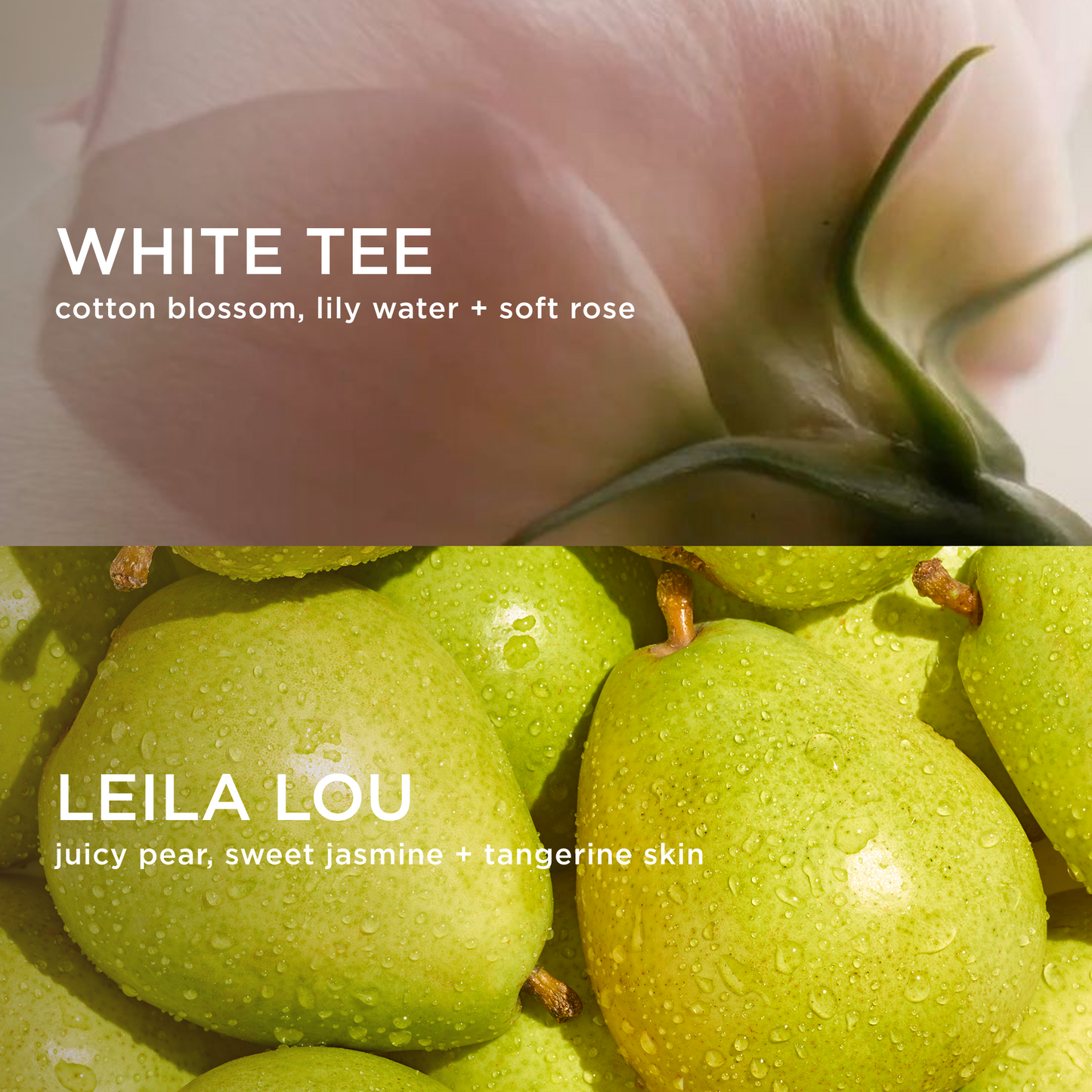 WHITE TEE AND LEILA LOU LAYER TOGETHER