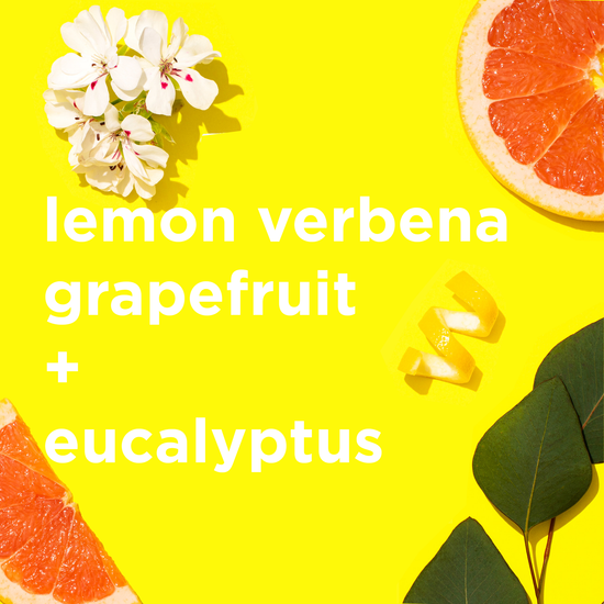 notes callouts: lemon verbena, grapefruit, eucalyptus