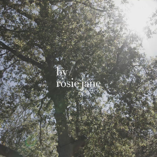 mood video for by rosie jane