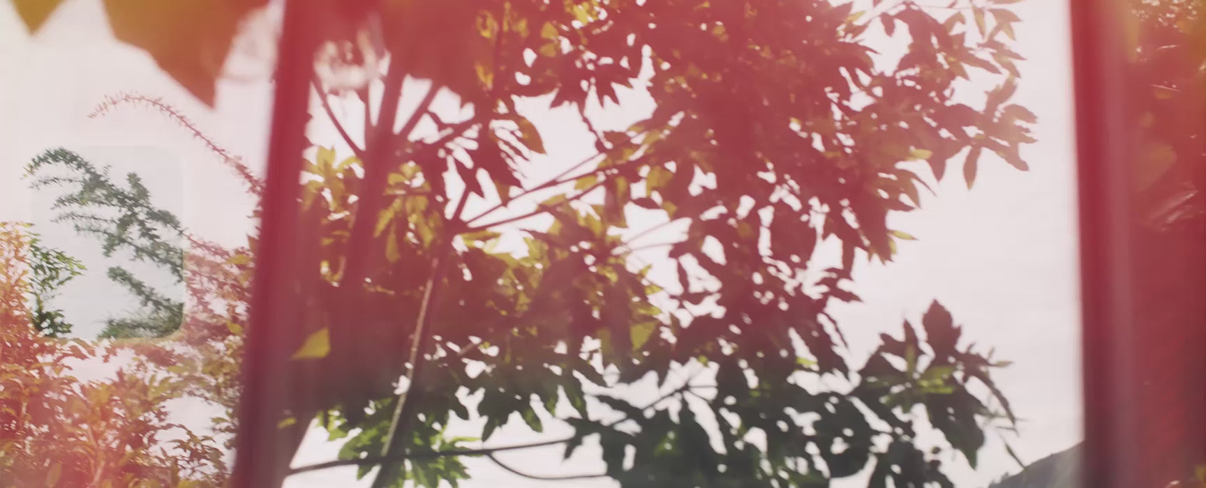 matilda mood video, girl outside