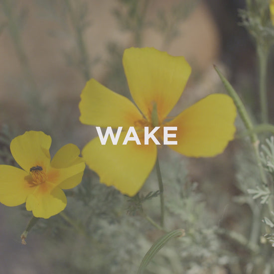wake deo feels good video