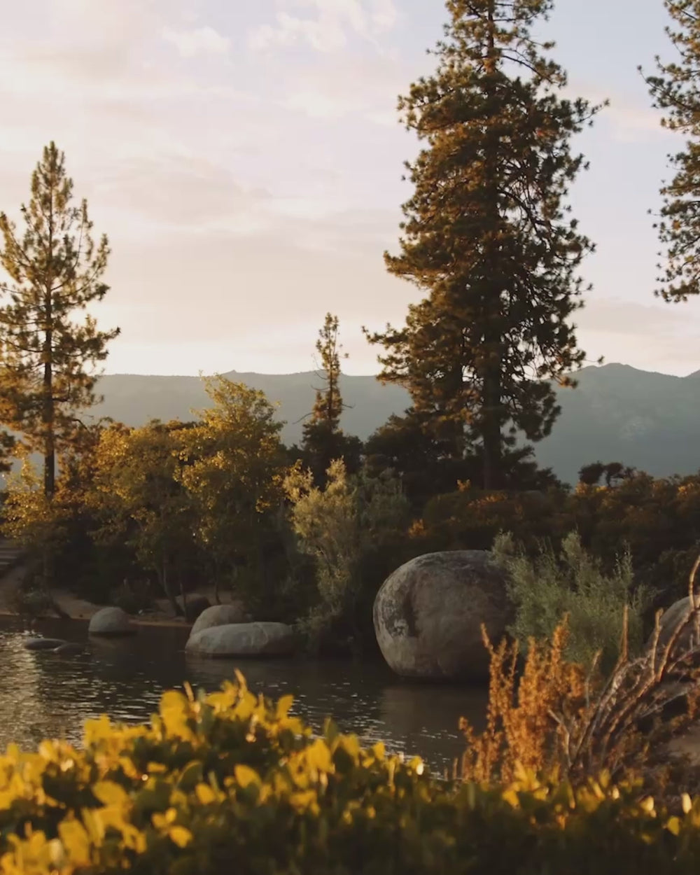 lake mood video of a lake environment.  no voice.