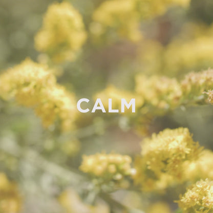 calm body wash relaxing video