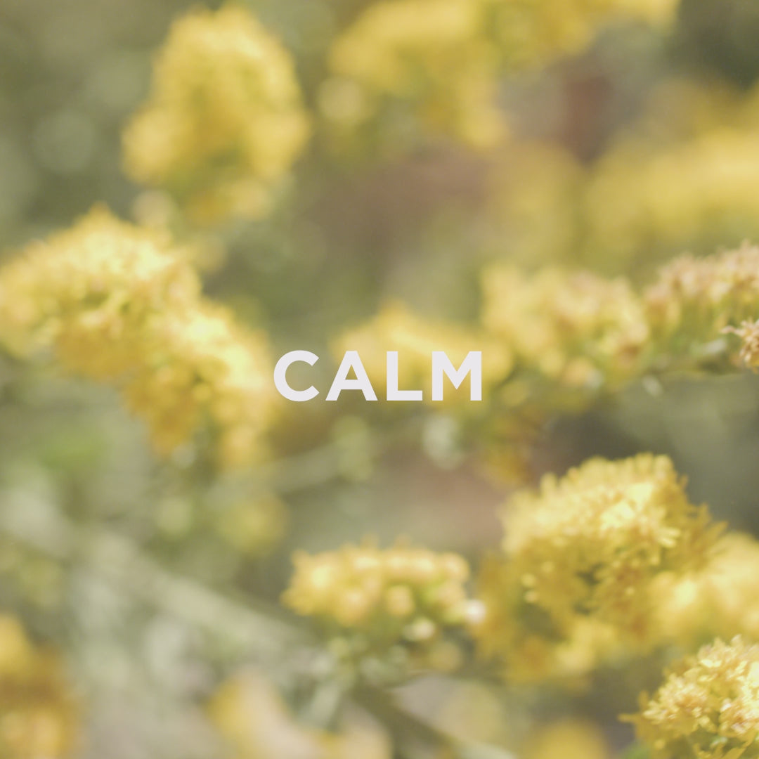 calm body wash relaxing video