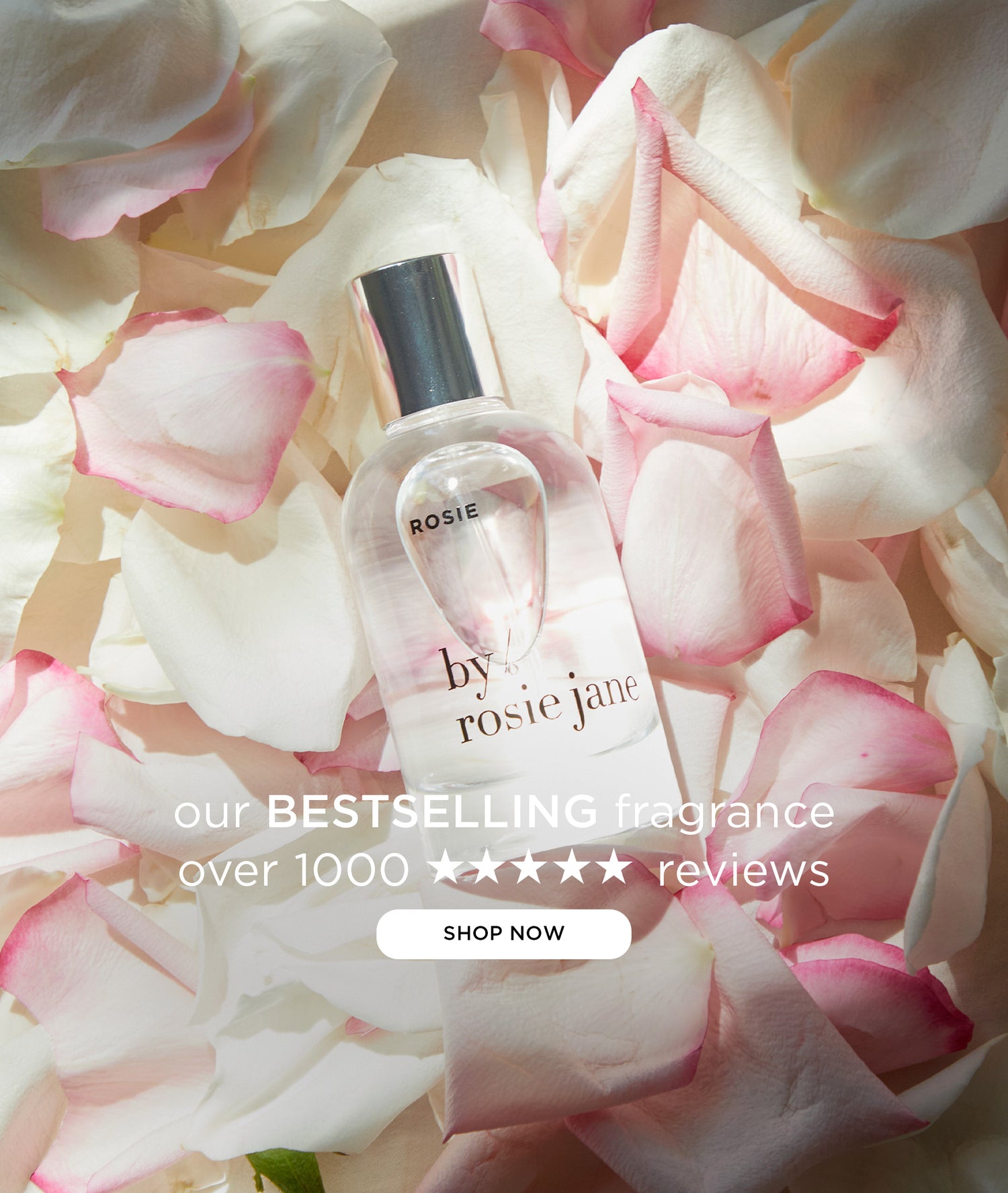 best selling rosie fragrance