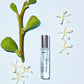 Angie Perfume Oil