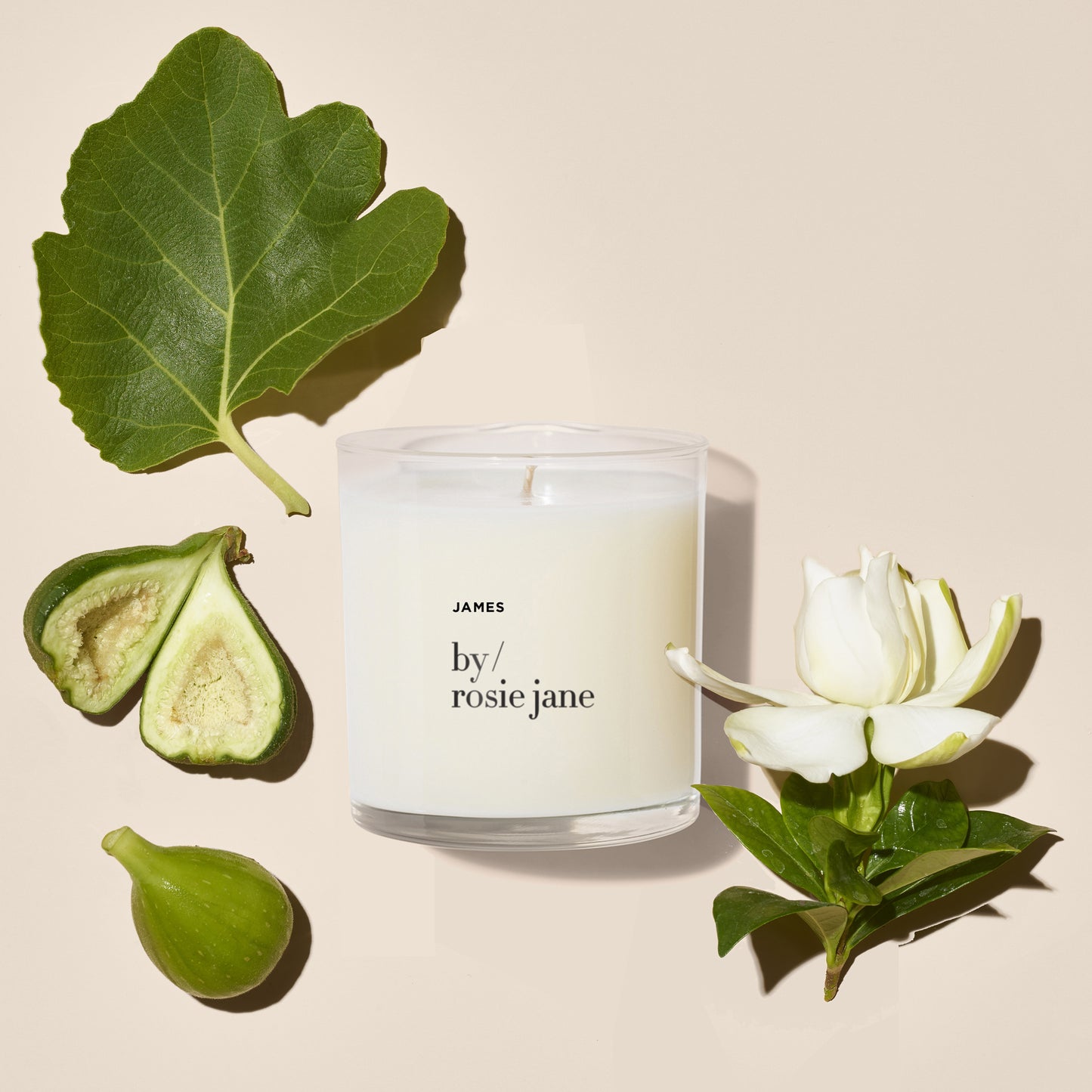 james candle notes of fig and gardenia